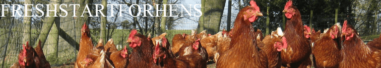 Collection Points | Find Rescue Hens Near You | Fresh Start For Hens